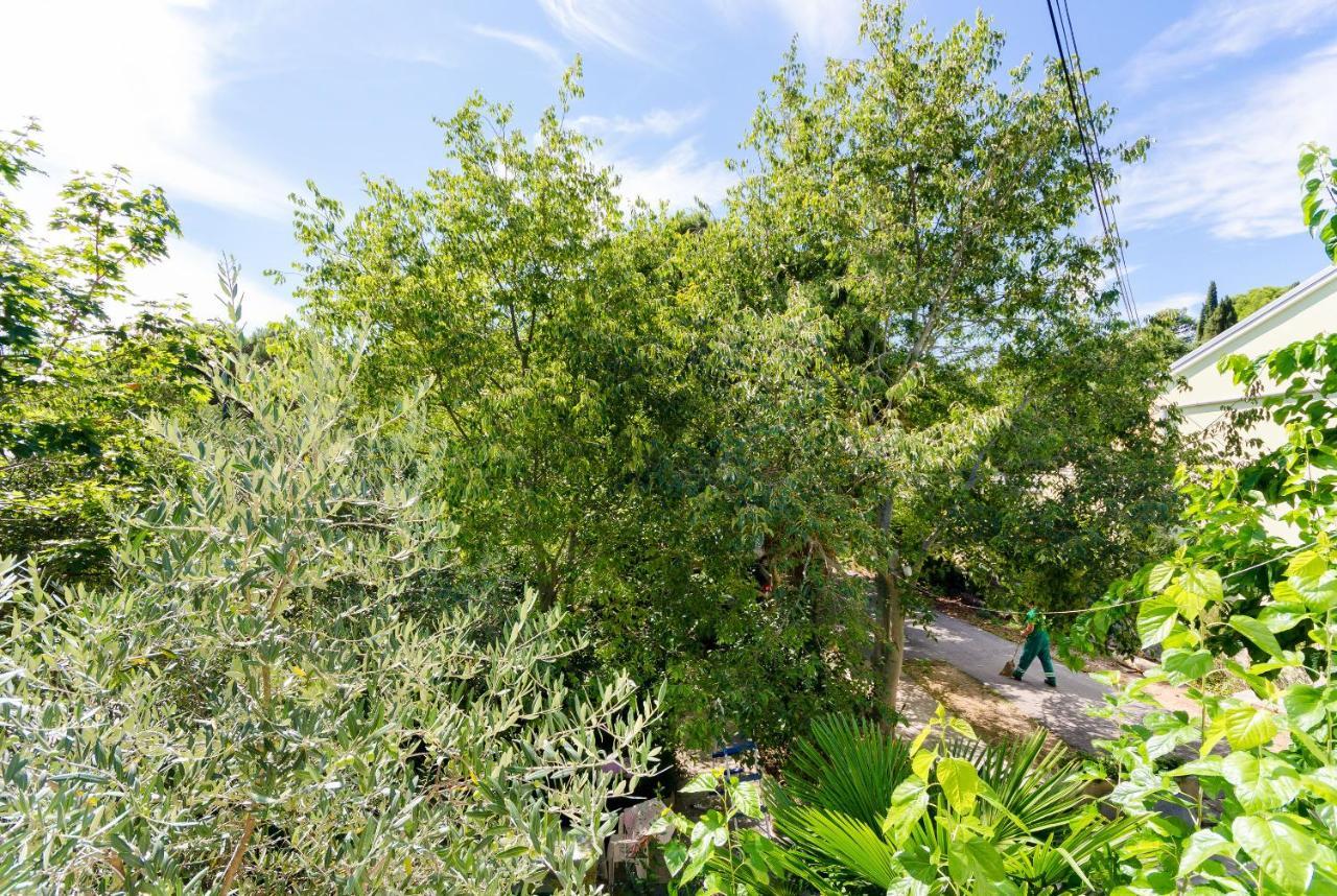 Apartma Massimo