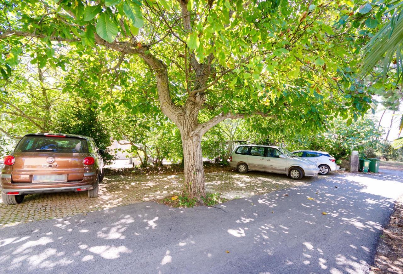Apartma Massimo