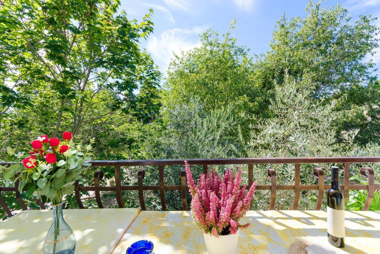 Massimo Apartma