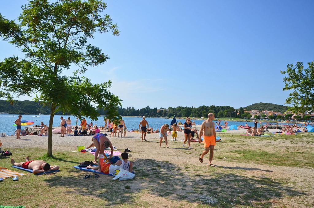 Massimo Apartma Rovinj